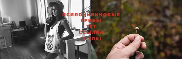 кокс Богородицк