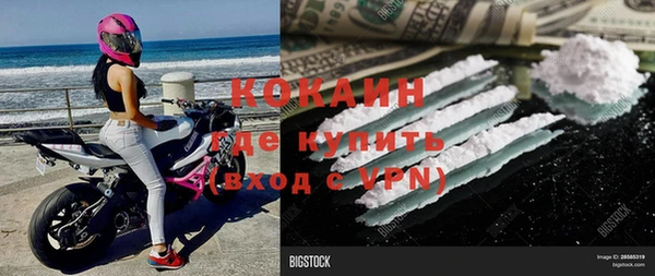 кокс Богородицк
