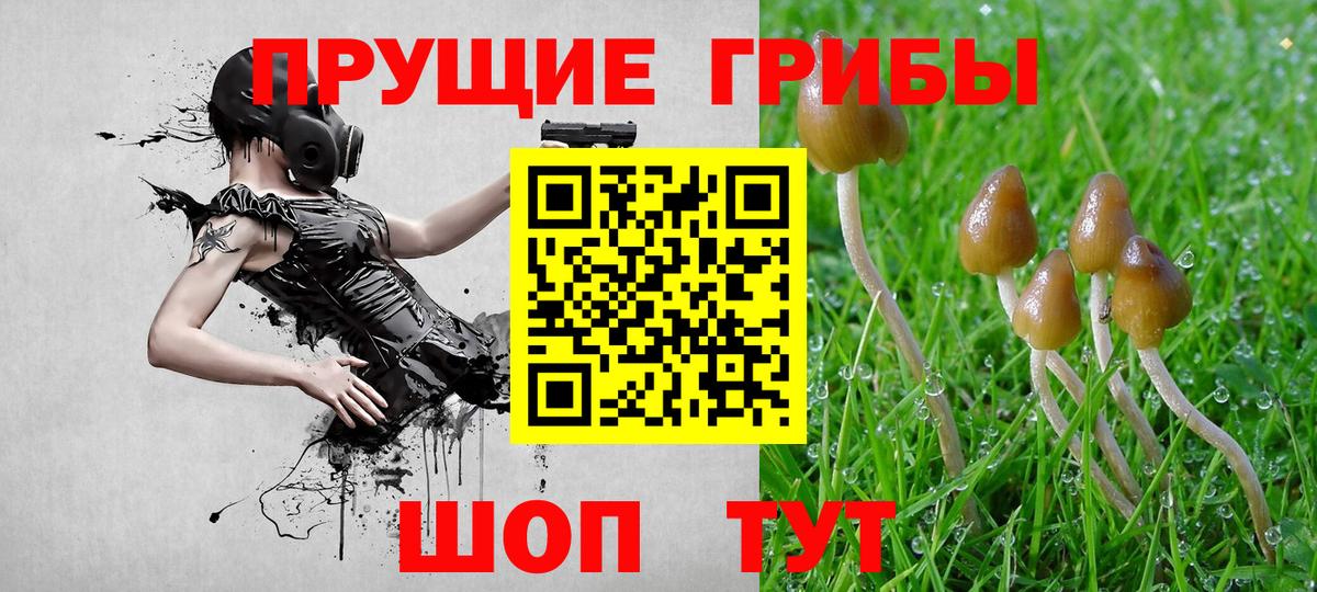 Псилоцибиновые грибы прущие грибы Лыткарино