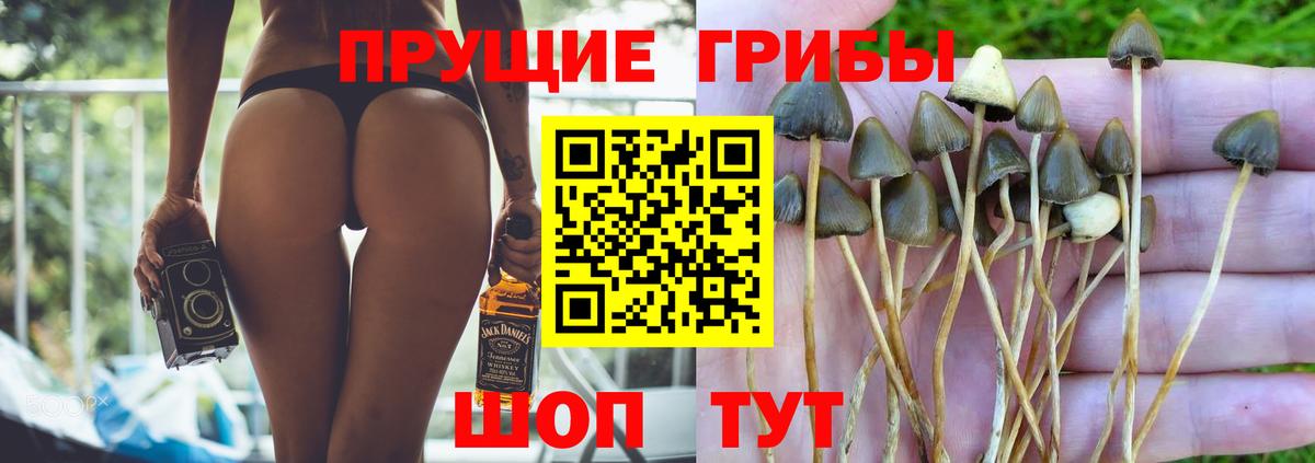 Лыткарино  Галлюциногенные грибы мицелий  Вход с VPN 